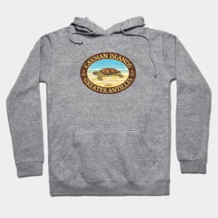 Cayman Islands, Sea Turtle Basking on the Beach Hoodie